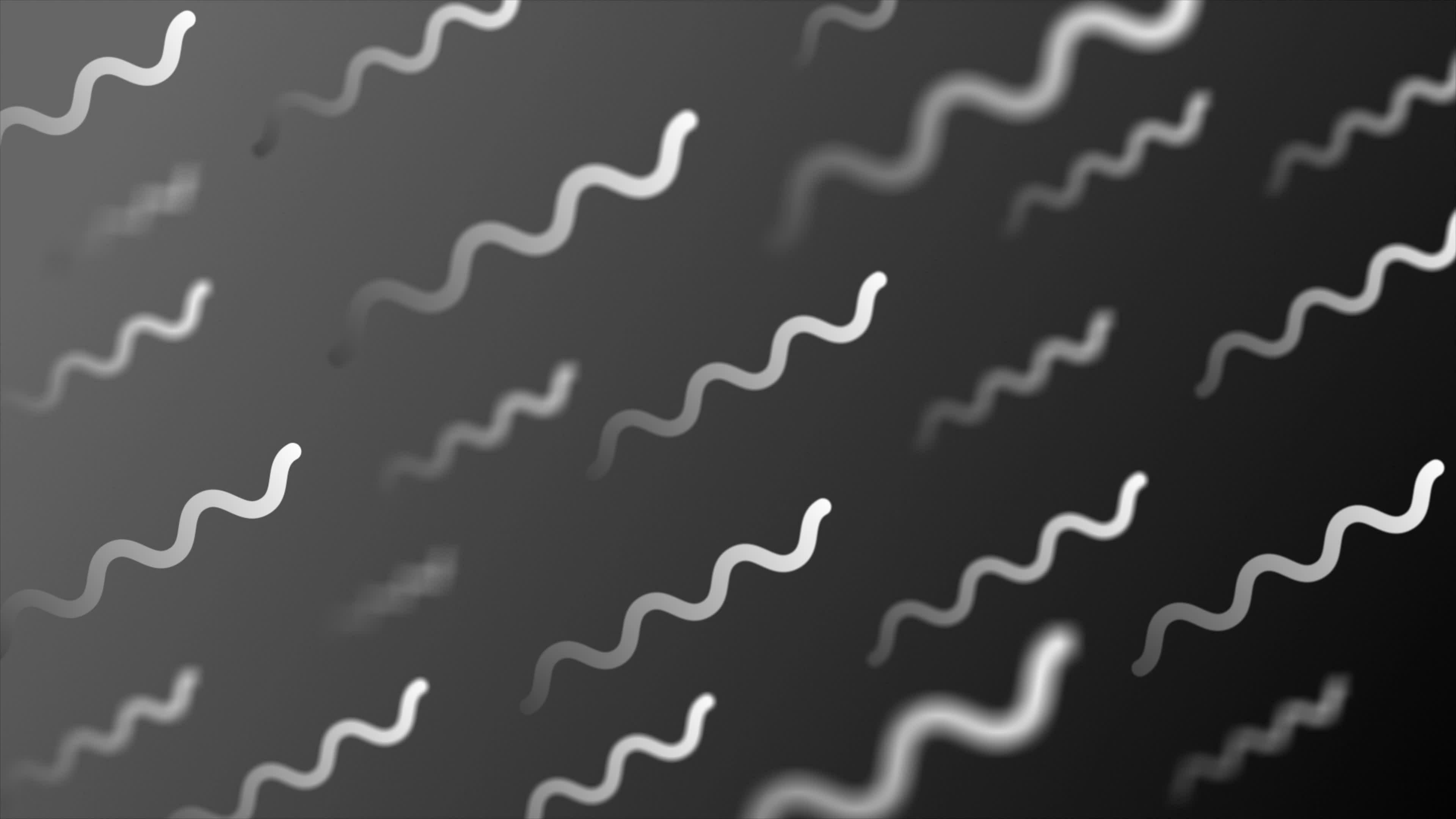3d White color squiggly line pattern background 23981105 Stock Video at