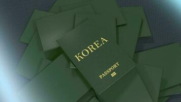artiste le rendu Corée Voyage passeport. video