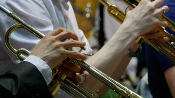 händer stänga upp trumpet musiker, filharmonisk orkester konsert video