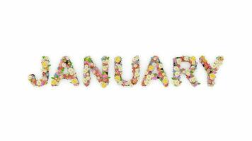Floral calendar month text animation, January. video