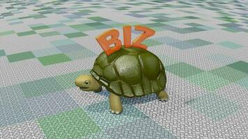 långsam rör på sig djur, sköldpadda gående, långsam företag period. video
