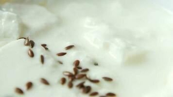 Putting seeds in a fresh yogurt in a bowl on table video