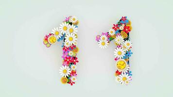 numérico dígito floral animación, 11 video