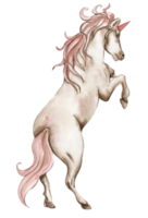 hermoso, lindo, blanco unicornio con rosado alas y rosado flores colocar. para guardería, bebé ducha, invitación para cumpleaños fiesta. acuarela ilustración para saludo tarjeta, carteles, pegatinas, embalaje. png