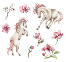 Beautiful, cute, white unicorn with pink wings and pink flowers set. For nursery, baby shower, invitation for birthday party. Watercolor illustration for greeting card, posters, stickers, packaging. png