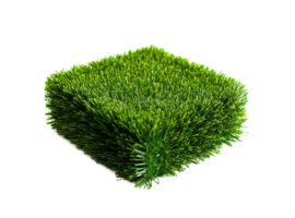 Artificial grass carpet on transparent background, created with png