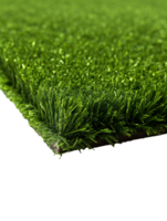 Artificial grass carpet on transparent background, created with png