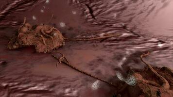 3D rendering cancer cell. video