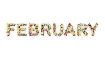 Floral calendar month text animation, February. video