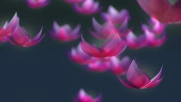 lotus bloem vallend animatie video