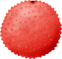 linda verano rojo Fresco Fruta acuarela mano dibujo png