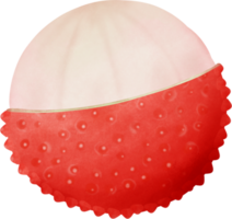 fofa verão vermelho fresco fruta aguarela mão desenhando png