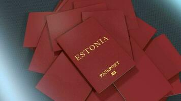 artiste le rendu Estonie Voyage passeport. video