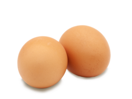 Two brown eggs from a chicken on a transparent background. PNG. Isolated. Photo in high quality. png