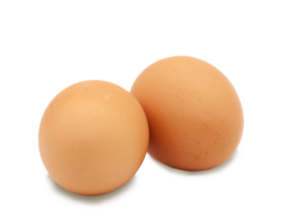 Two brown eggs from a chicken on a transparent background. PNG. Isolated. Photo in high quality. png