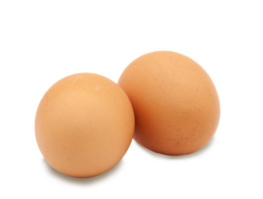 Chicken egg raw 9339329 PNG