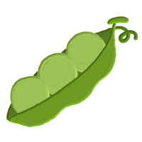 vegetables acrylic hand painting png