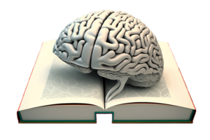 Photo describing the brain growth or knowledge from Book, Silver with png