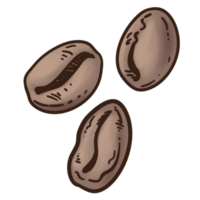 Coffee Beans Colored Illustration PNG