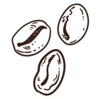 Coffee Beans Ink Illustration PNG