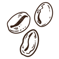 caffè fagioli inchiostro illustrazione png