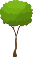 verde árbol isométrica icono png