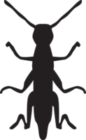 insetto isolato silhouette png