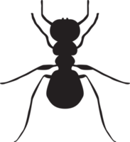 insetto isolato silhouette png
