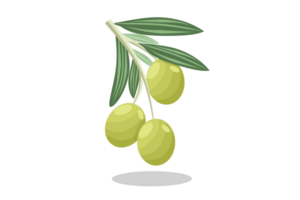 aceituna con hoja png ilustración