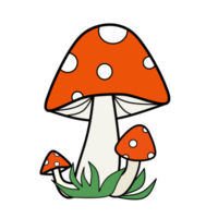 Orange mushroom and grass illustration png