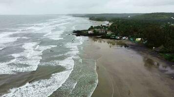 Aerial view of Mandrem Beach Goa video