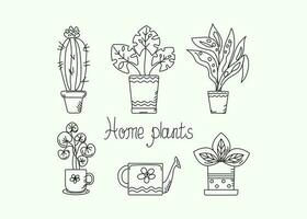 Set of potted plants, cactus, doodle watering can.  Plant care, interior. Lettering, lettering. Outline drawing. Vector illustration, icons.