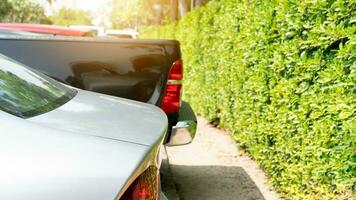 Rear side of car in parking area. Wall of green leaves lines the back of the car park. photo