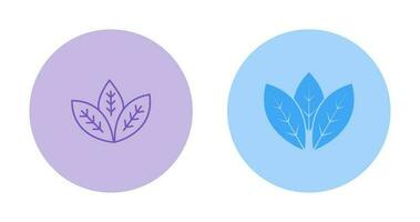 Spearmint Vector Icon