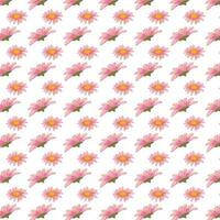 vector flower patterns