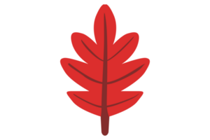 Autumn Leaf With Transparent Background png