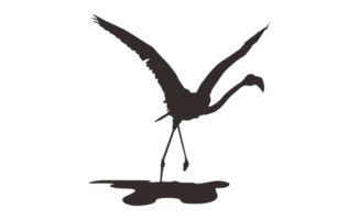 Flamingo Bird Silhouette On Transparent Background png