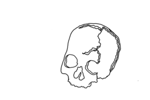 humano crânio linha arte com transparente fundo png