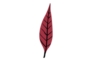 Herbst Blatt mit transparent Hintergrund png