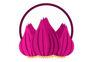 Red Onion Logo Icon On Transparent Background png