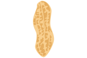 Peanut Logo Icon On Transparent Background png