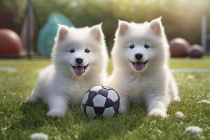 linda Samoyedo cachorros jugando con un pelota. generativo ai. foto
