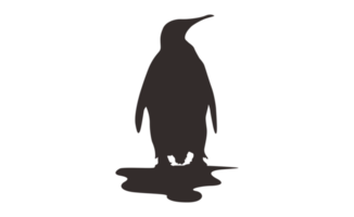 pinguino silhouette su trasparente sfondo png