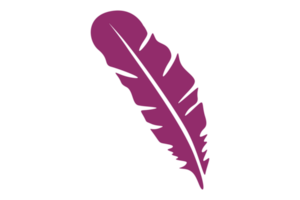 Purple Bird Feathers Ornament With Transparent Background png