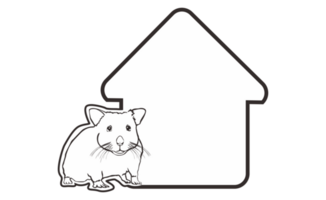 pièce plaque signalétique avec mignonne hamsters ligne art thème sur transparent Contexte png