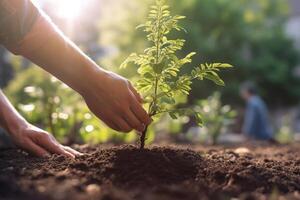 voluntario plantando nuevo árbol en suciedad en un urbano jardín con generativo ai foto