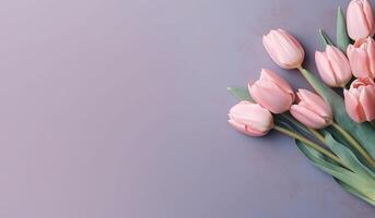 bunch flowers of tulips flatlay with large empty plain pastel background for text mockup photo