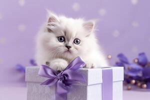 A cute white kitten peeks out of a gift box. . photo