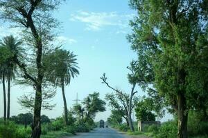 pueblo verano Mañana disparar al aire libre naturaleza fotografía verde la carretera verdor en la carretera Pakistán belleza foto