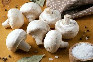 Close-up of champignon mushrooms and spices photo